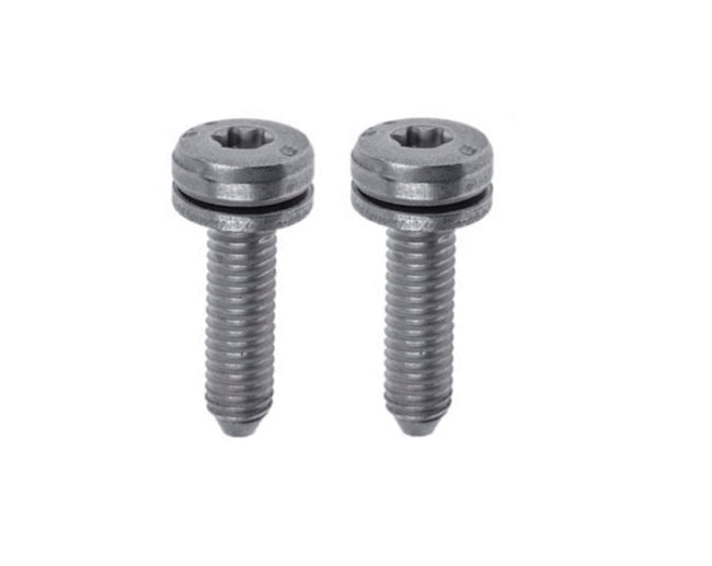 BMW E46 3-Series Automatic Transmission Pan Bolt Set of 2 OEM (A5S 325Z) 24101423273