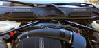 Burger Motorsports BMS Cowl Filters for BMW E9x E8x & X1 – image 5