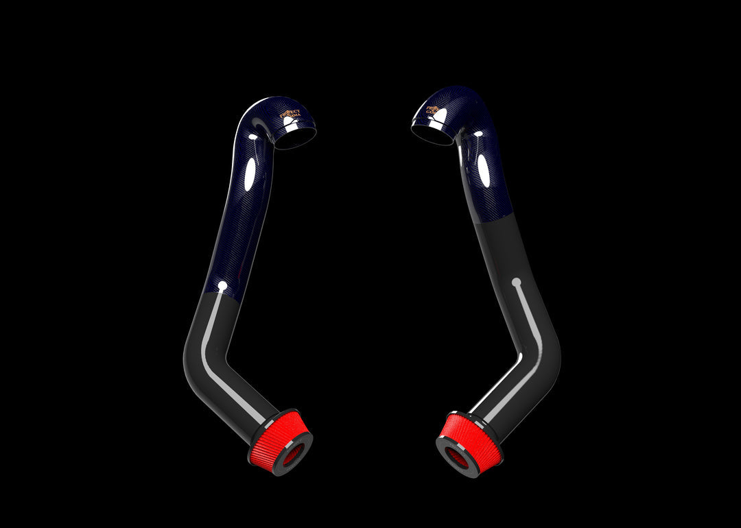 Project Gamma BMW X5M | X6M (F95/F96) CARBON FIBER INTAKES – image 4